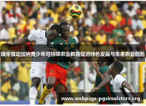 埃辛推动加纳青少年可持续农业教育促进绿色发展与未来农业创新 埃辛推动加纳青少年可持续农业教育促进绿色发展与未来农业创新