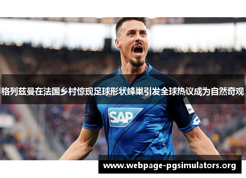 格列兹曼在法国乡村惊现足球形状蜂巢引发全球热议成为自然奇观 格列兹曼在法国乡村惊现足球形状蜂巢引发全球热议成为自然奇观