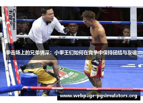 拳击场上的兄弟情深:小拳王们如何在竞争中保持团结与友谊 拳击场上的兄弟情深:小拳王们如何在竞争中保持团结与友谊