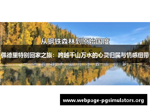 佩德里特别回家之旅:跨越千山万水的心灵归属与情感纽带 佩德里特别回家之旅:跨越千山万水的心灵归属与情感纽带