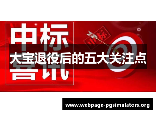 大宝退役后的五大关注点 大宝退役后的五大关注点