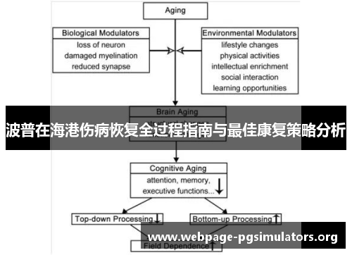 波普在海港伤病恢复全过程指南与最佳康复策略分析 波普在海港伤病恢复全过程指南与最佳康复策略分析