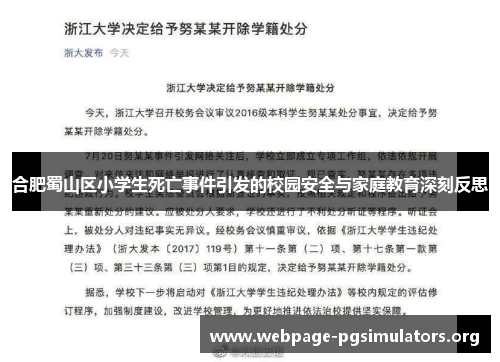 合肥蜀山区小学生死亡事件引发的校园安全与家庭教育深刻反思 合肥蜀山区小学生死亡事件引发的校园安全与家庭教育深刻反思