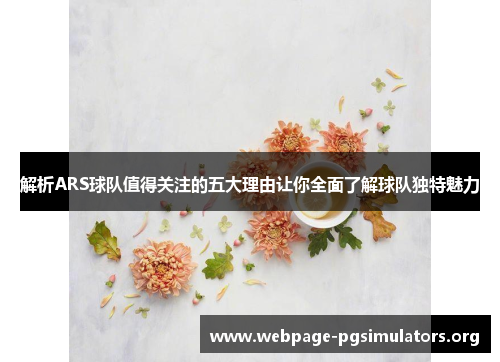 解析ARS球队值得关注的五大理由让你全面了解球队独特魅力 解析ARS球队值得关注的五大理由让你全面了解球队独特魅力